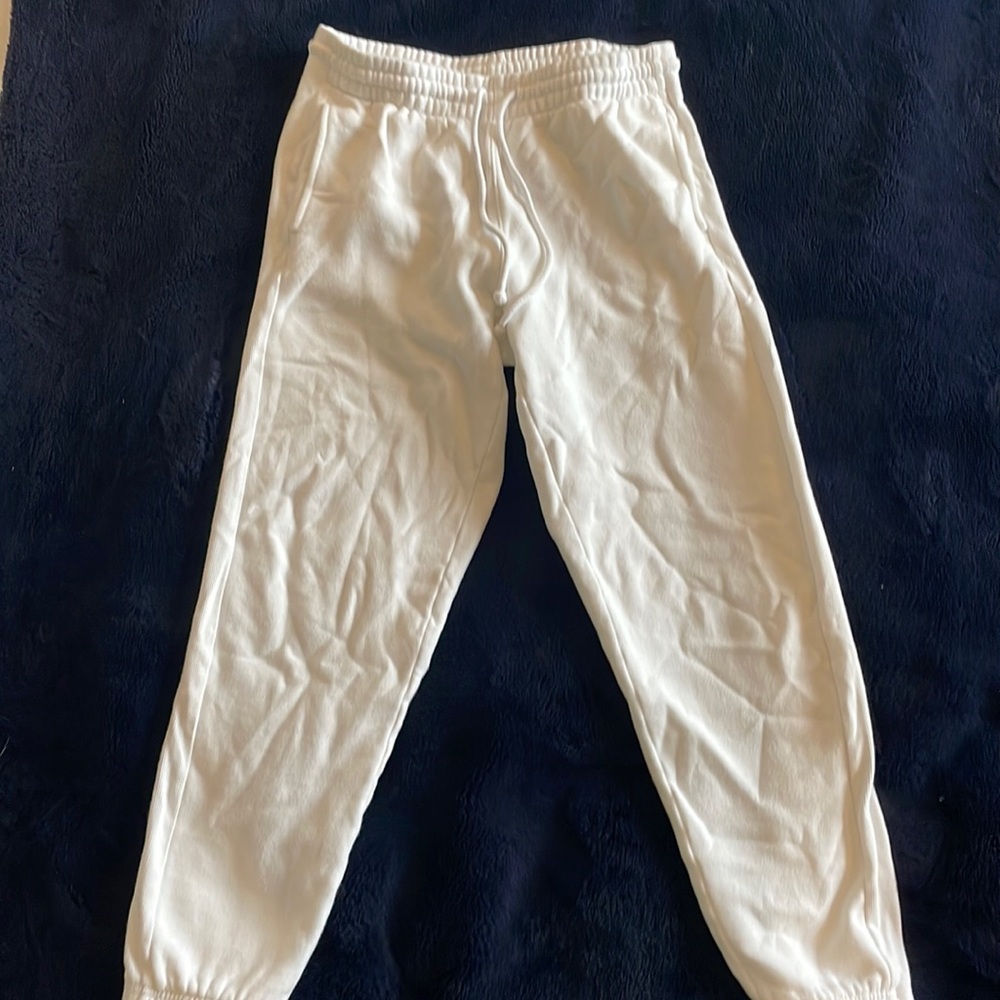 Aritzia sweatpants